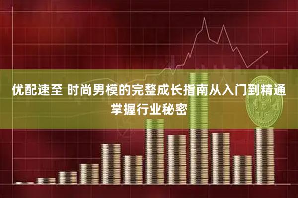 优配速至 时尚男模的完整成长指南从入门到精通掌握行业秘密