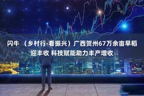 闪牛 (乡村行·看振兴)广西贺州67万余亩早稻迎丰收 科技赋能助力丰产增收