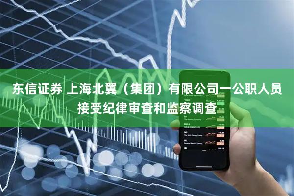 东信证券 上海北翼（集团）有限公司一公职人员接受纪律审查和监察调查
